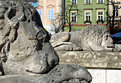 Altstadt von Krakau. Stadtführung